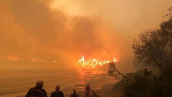 Bushfire at McKenzies Beach